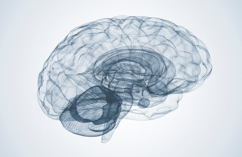 artistic interpretation of brain in relation to the science of co-activation